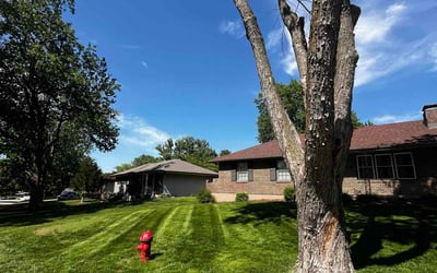 Photo of Debbie D.'s yard after getting lawn care in Mckeesport, PA
