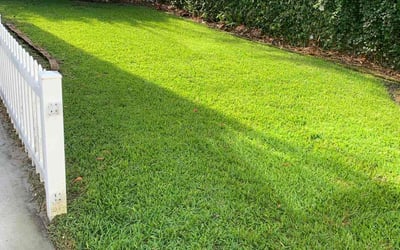 Photo of Stephanie T.'s yard after getting lawn care in Mims, FL