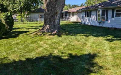 Photo of Kay H.'s yard after getting lawn care in Sun Prairie, WI