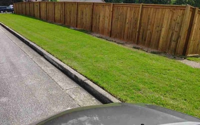 Photo of Cionnaye O.'s yard after getting lawn care in Morrow, GA