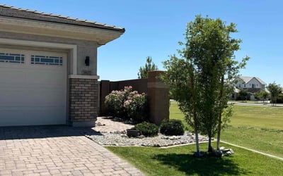 Photo of Jenn H.'s yard after getting lawn care in Gilbert, AZ