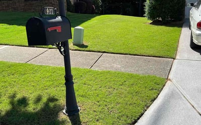 Photo of Vendra C.'s yard after getting lawn care in Huntington, WV