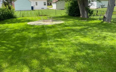 Photo of Linda E.'s yard after getting lawn care in Sussex, WI
