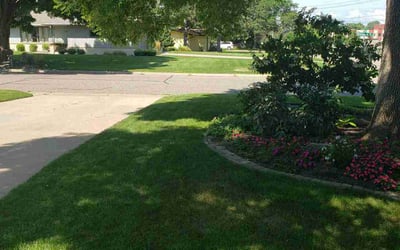 Photo of Mike W.'s yard after getting lawn care in Roseville, MN
