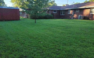Photo of Ray D.'s yard after getting lawn care in Belleville, IL
