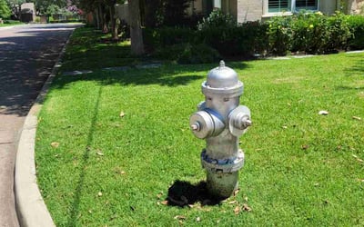 Photo of Kevin C.'s yard after getting lawn care in San Dimas, CA