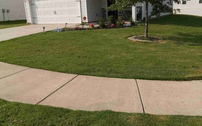 Photo of Carrie F.'s yard after getting lawn care in Denver, CO