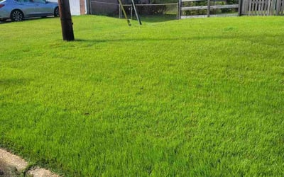 Photo of Frank P.'s yard after getting lawn care in Fort Washington, MD