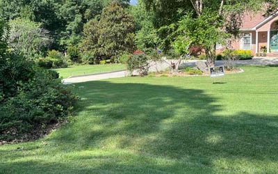 Photo of Yasha S.'s yard after getting lawn care in Rock Hill, SC