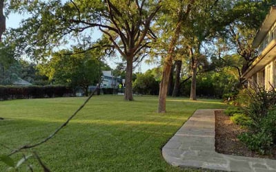 Photo of John H.'s yard after getting lawn care in Somerville, NJ