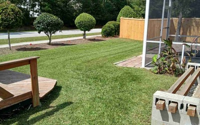 Photo of Ray K.'s yard after getting lawn care in Moncks Corner, SC