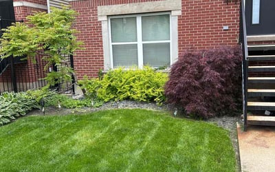 Photo of Anthony S.'s yard after getting lawn care in Alsip, IL