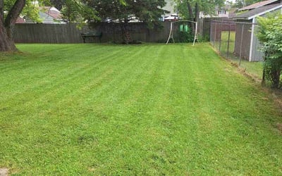 Photo of David R.'s yard after getting lawn care in Asheville, NC