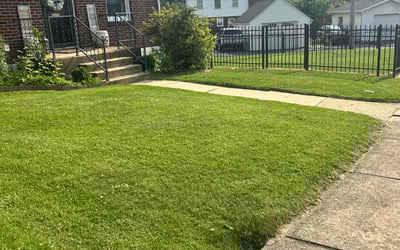 Photo of Marlene B.'s yard after getting lawn care in Rialto, CA