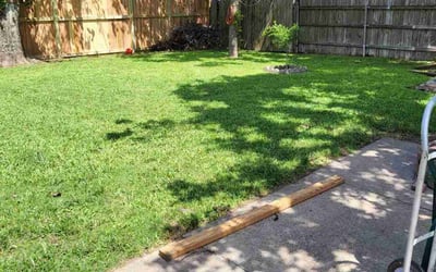 Photo of Paulina S.'s yard after getting lawn care in West Columbia, TX