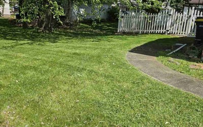 Photo of Kristin M.'s yard after getting lawn care in Whitehall, PA