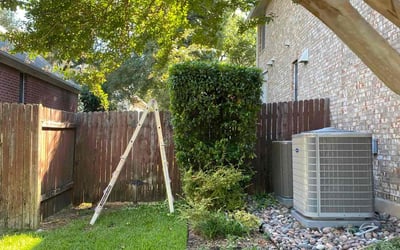 Photo of Michelle M.'s yard after getting lawn care in Bellingham, MA
