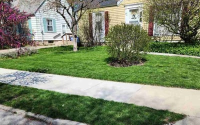 Photo of RANDALL C.'s yard after getting lawn care in Lowell, MI