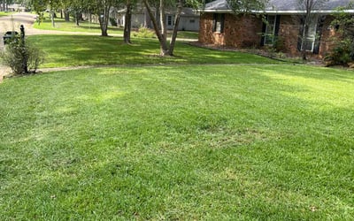 Photo of Brandon H.'s yard after getting lawn care in Brandon, MS