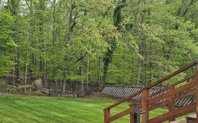 Photo of Thomas S.'s yard after getting lawn care in Temple Hills, MD