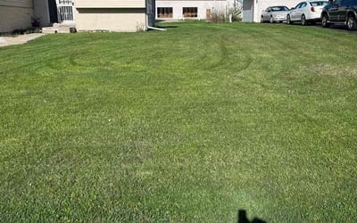 Photo of Deandre R.'s yard after getting lawn care in Country Club Hills, IL