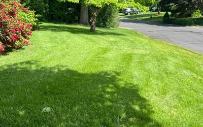 Photo of William J.'s yard after getting lawn care in New Britain, CT