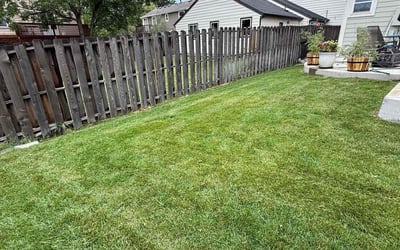 Photo of Justin M.'s yard after getting lawn care in Poughkeepsie, NY