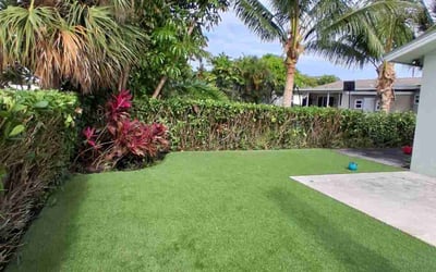 Photo of Benjamin H.'s yard after getting lawn care in El Monte, CA