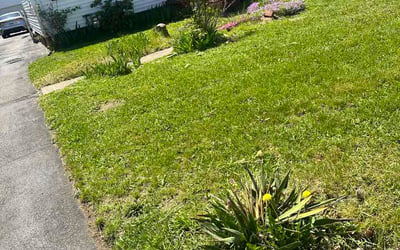 Photo of Filipo L.'s yard after getting lawn care in Belle Vernon, PA