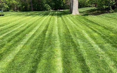 Photo of Charmaine A.'s yard after getting lawn care in Bridgeville, PA