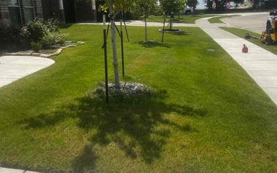 Photo of Ralph D.'s yard after getting lawn care in Gardena, CA