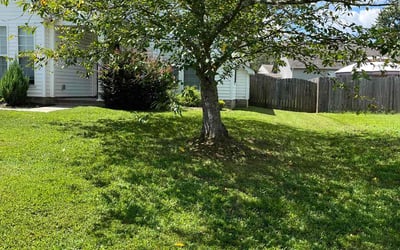 Photo of Scott F.'s yard after getting lawn care in Indian Trail, NC