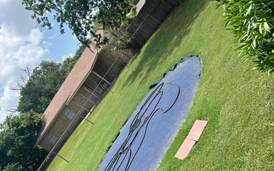Photo of Jose R.'s yard after getting lawn care in Bremerton, WA