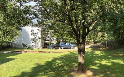 Photo of Pamela W.'s yard after getting lawn care in Zachary, LA