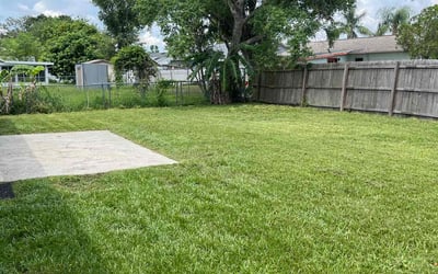 Photo of Christina W.'s yard after getting lawn care in Waterbury, CT