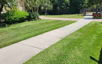 Photo of Sue J.'s yard after getting lawn care in Stuart, FL