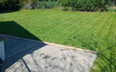 Photo of Alex V.'s yard after getting lawn care in Baltimore, MD