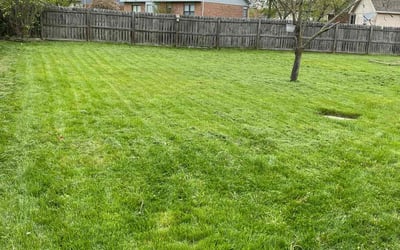 Photo of Rose M.'s yard after getting lawn care in Dayton, KY