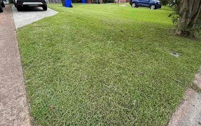 Photo of Regina M.'s yard after getting lawn care in Sterling, VA