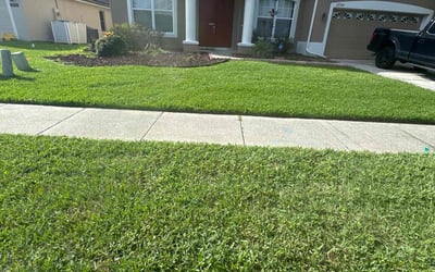 Photo of Angel B.'s yard after getting lawn care in Alafaya, FL