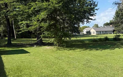 Photo of Gina F.'s yard after getting lawn care in Brookpark, OH
