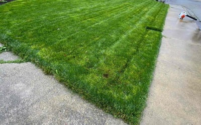 Photo of Deena W.'s yard after getting lawn care in San Ramon, CA