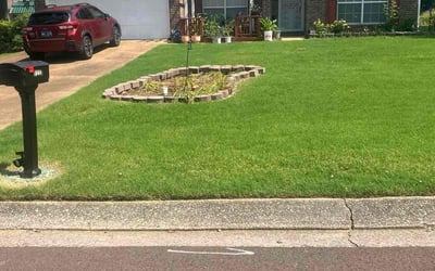Photo of Melanie J.'s yard after getting lawn care in Southaven, MS