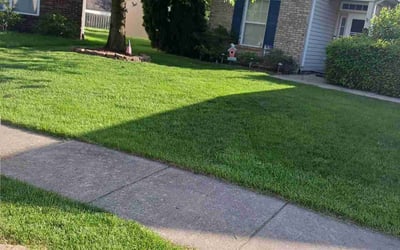 Photo of Lynn S.'s yard after getting lawn care in West Lafayette, IN