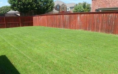 Photo of Tina R.'s yard after getting lawn care in Seffner, FL