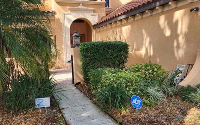 Photo of Jeanne H.'s yard after getting tree care in Saint Leo, FL