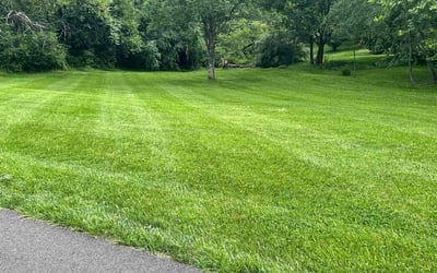 Photo of Brad R.'s yard after getting lawn care in Ellicott City, MD
