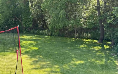 Photo of Zach B.'s yard after getting lawn care in Portage, MI
