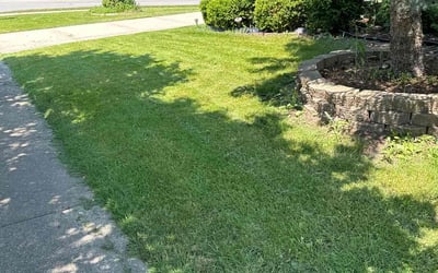 Photo of Jeffrey B.'s yard after getting lawn care in Orland Park, IL