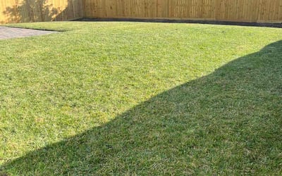 Photo of Vanessa L.'s yard after getting lawn care in Fletcher, NC